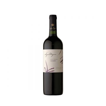 Apaltagua Gran Verano Carmenere- Vin Rosu Sec - Chile - 0.75L