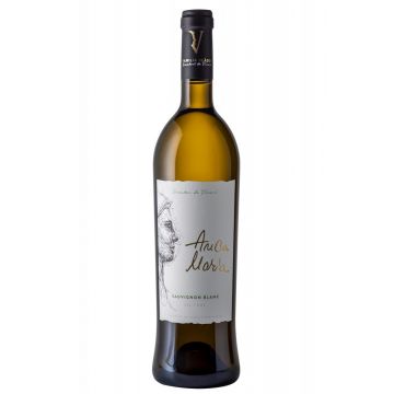 Vin alb sec, Sauvignon Blanc, Familia Vladoi Anca Maria, 0.75L, 13.7% alc., Romania